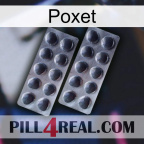 Poxet 31